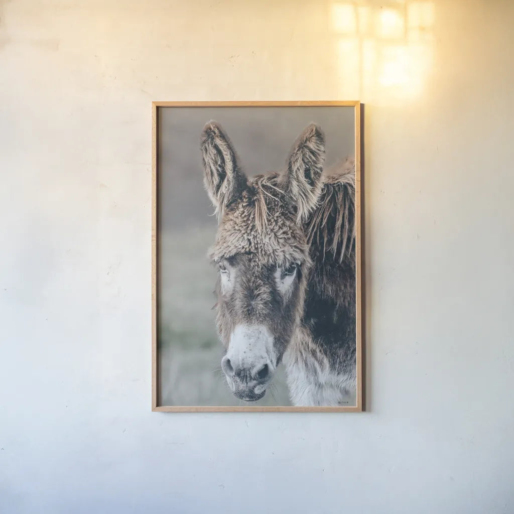 Donkey Summer Portrait by Nathan Larson. shown as a paper print in a natural frame. Available as a archival giclee rolled canvas, fine art paper, or poster print. SKU 99286h.