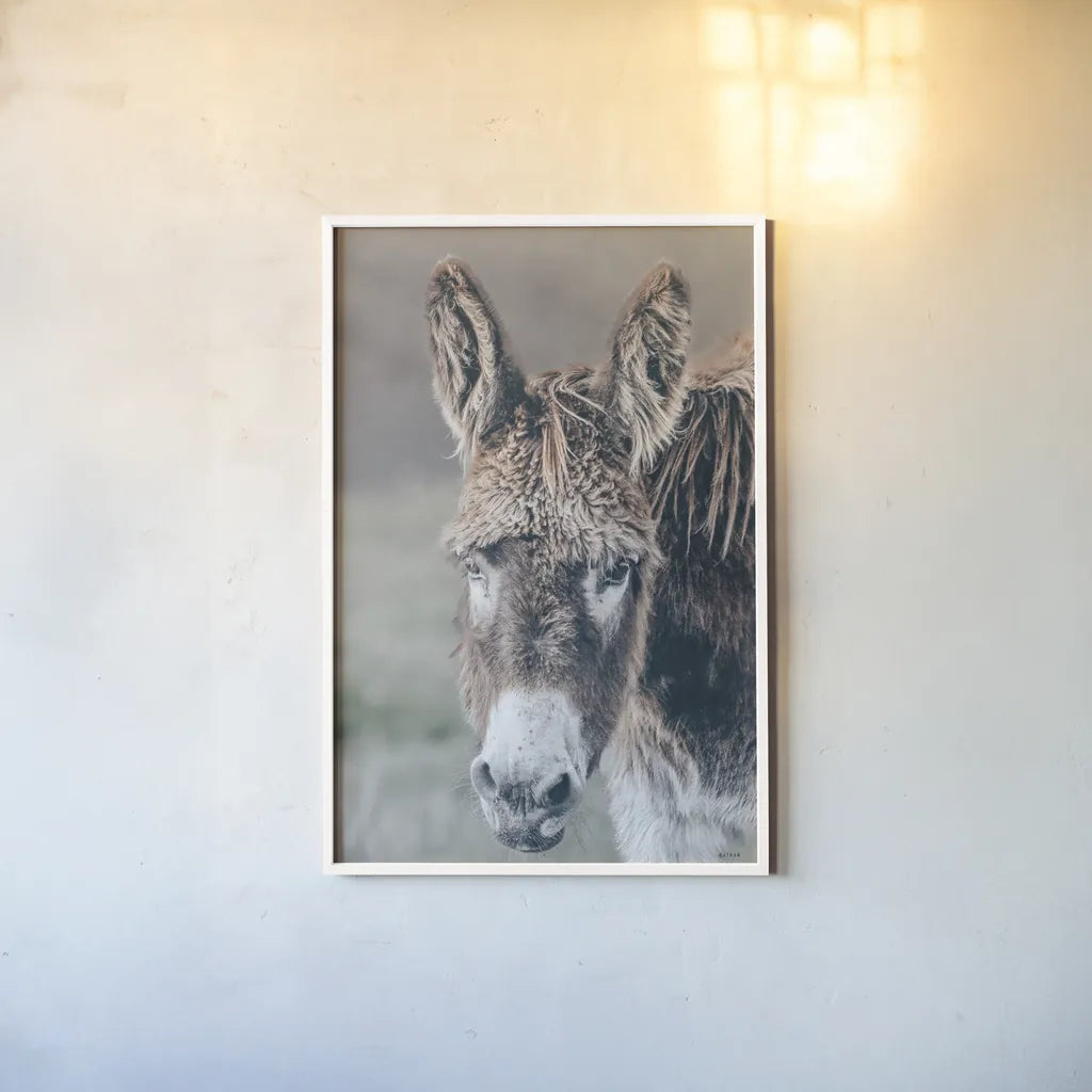 Donkey Summer Portrait by Nathan Larson. shown as a paper print in a white frame. Available as a archival giclee rolled canvas, fine art paper, or poster print. SKU 99286h.