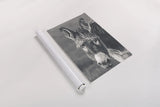 Donkey Summer Portrait BW by Nathan Larson. shown as a rolled paper print. Available as archival giclee rolled canvas, fine art paper, or poster print. SKU 99287h.