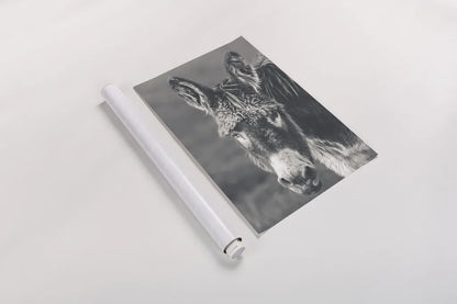 Donkey Summer Portrait BW by Nathan Larson. shown as a rolled paper print. Available as archival giclee rolled canvas, fine art paper, or poster print. SKU 99287h.