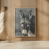 Donkey Summer Portrait BW by Nathan Larson. shown as over sized large wall art. Available as an archival giclee rolled canvas, fine art paper, or poster print. SKU 99287h.