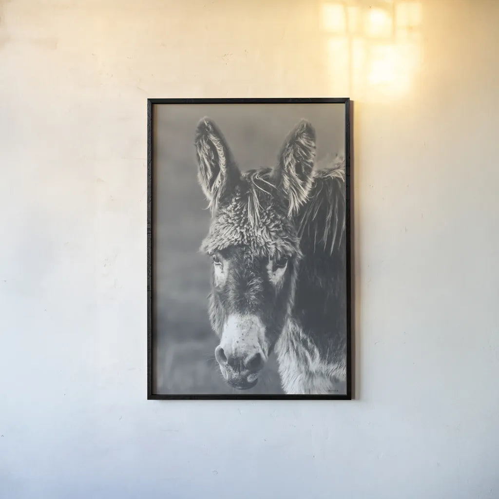 Donkey Summer Portrait BW by Nathan Larson. shown as a paper print in a black flame. Available as a archival giclee rolled canvas, fine art paper, or poster print. SKU 99287h.