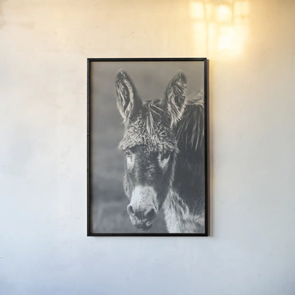Donkey Summer Portrait BW by Nathan Larson. shown as a paper print in a black flame. Available as a archival giclee rolled canvas, fine art paper, or poster print. SKU 99287h.