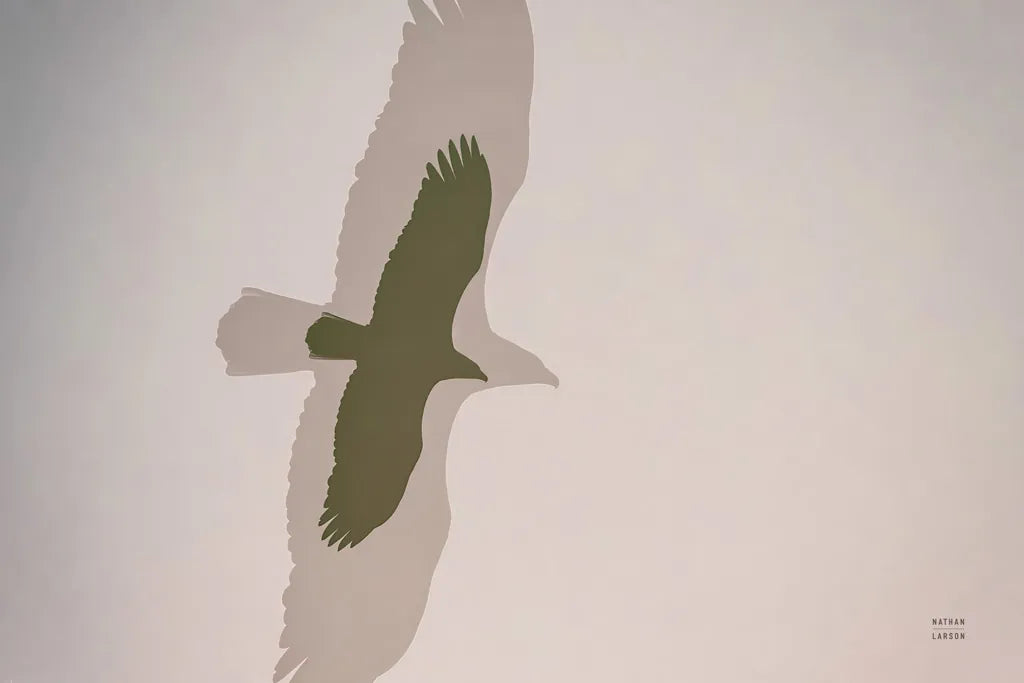 Double Eagle by Nathan Larson. SKU 78766i. Archival Giclee Fine art print for wall decor.