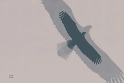 Double Eagle Flight by Nathan Larson. SKU 78767i. Archival Giclee Fine art print for wall decor.