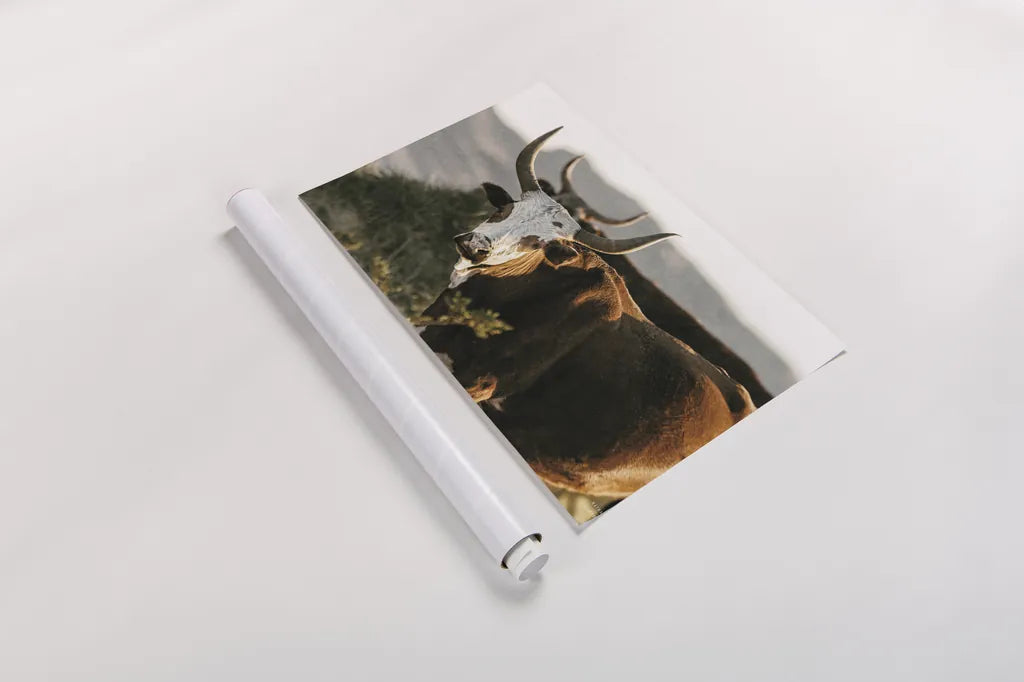 Double Horns by Nathan Larson. shown as a rolled paper print. Available as archival giclee rolled canvas, fine art paper, or poster print. SKU 102616i.