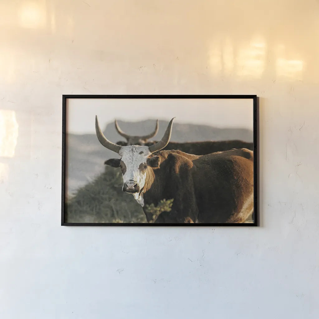 Double Horns by Nathan Larson. shown as a paper print in a black flame. Available as a archival giclee rolled canvas, fine art paper, or poster print. SKU 102616i.