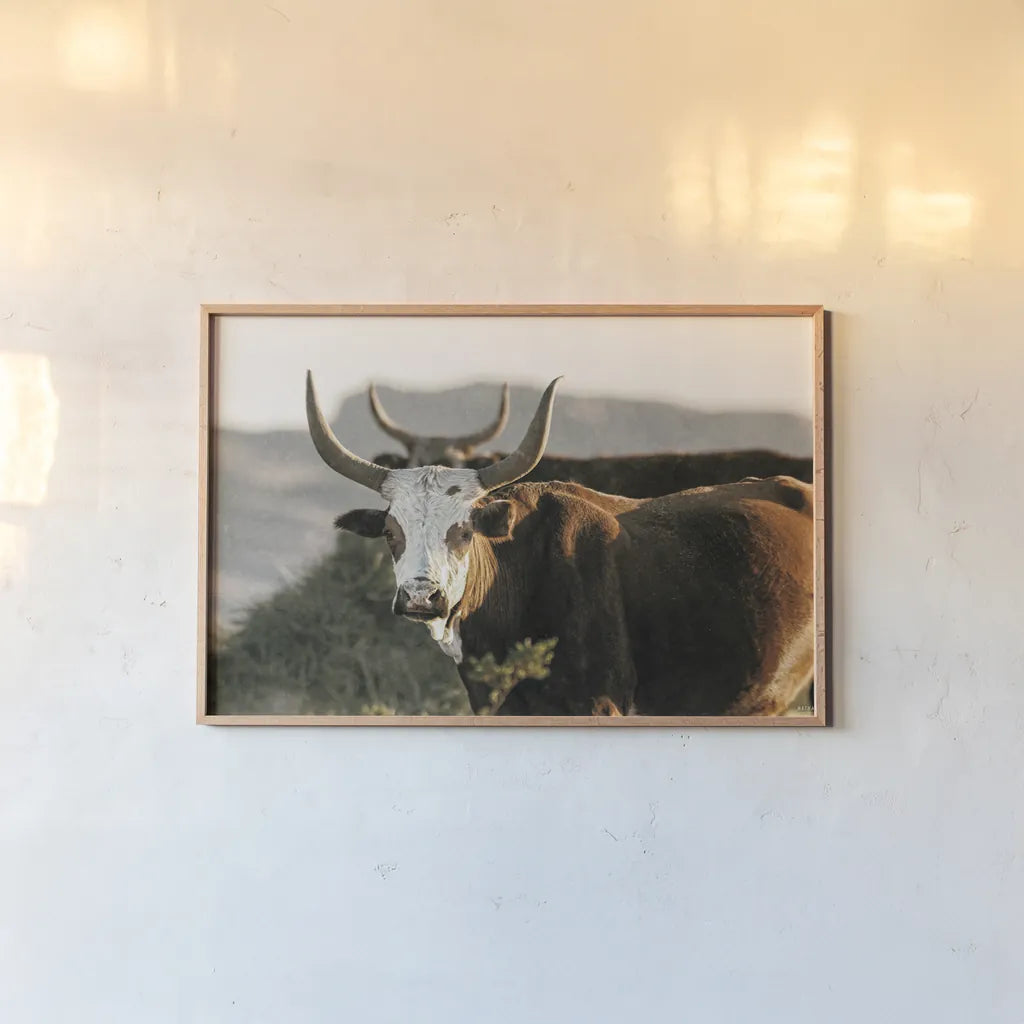 Double Horns by Nathan Larson. shown as a paper print in a natural frame. Available as a archival giclee rolled canvas, fine art paper, or poster print. SKU 102616i.