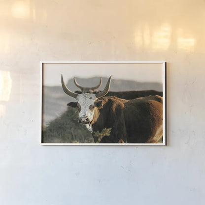 Double Horns by Nathan Larson. shown as a paper print in a white frame. Available as a archival giclee rolled canvas, fine art paper, or poster print. SKU 102616i.