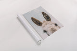 Downward Facing Donkey Pastel by Nathan Larson. shown as a rolled paper print. Available as archival giclee rolled canvas, fine art paper, or poster print. SKU 99853h.