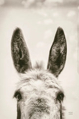 Downward Facing Donkey Sepia by Nathan Larson. SKU 99854h. Archival Giclee Fine art print for wall decor.
