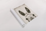 Downward Facing Donkey Sepia by Nathan Larson. shown as a rolled paper print. Available as archival giclee rolled canvas, fine art paper, or poster print. SKU 99854h.