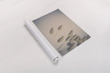 Dried Grass Study by Nathan Larson. shown as a rolled paper print. Available as archival giclee rolled canvas, fine art paper, or poster print. SKU 77006i.