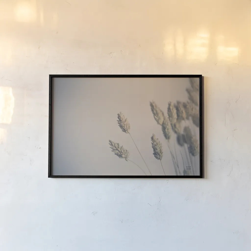 Dried Grass Study by Nathan Larson. shown as a paper print in a black flame. Available as a archival giclee rolled canvas, fine art paper, or poster print. SKU 77006i.