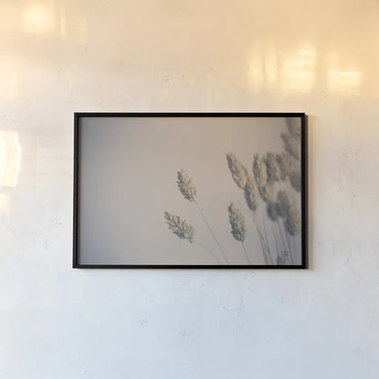 Dried Grass Study by Nathan Larson. shown as a paper print in a black flame. Available as a archival giclee rolled canvas, fine art paper, or poster print. SKU 77006i.