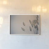 Dried Grass Study by Nathan Larson. shown as a paper print in a white frame. Available as a archival giclee rolled canvas, fine art paper, or poster print. SKU 77006i.