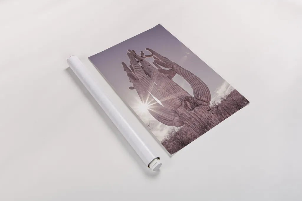 Dusty Desert Saguaro by Nathan Larson. shown as a rolled paper print. Available as archival giclee rolled canvas, fine art paper, or poster print. SKU 72032h.