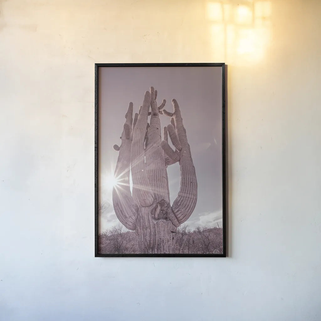 Dusty Desert Saguaro by Nathan Larson. shown as a paper print in a black flame. Available as a archival giclee rolled canvas, fine art paper, or poster print. SKU 72032h.