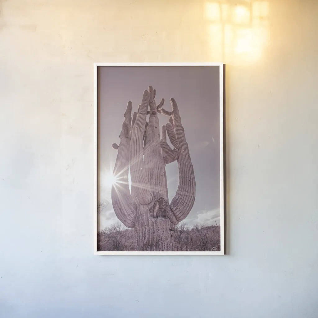 Dusty Desert Saguaro by Nathan Larson. shown as a paper print in a white frame. Available as a archival giclee rolled canvas, fine art paper, or poster print. SKU 72032h.