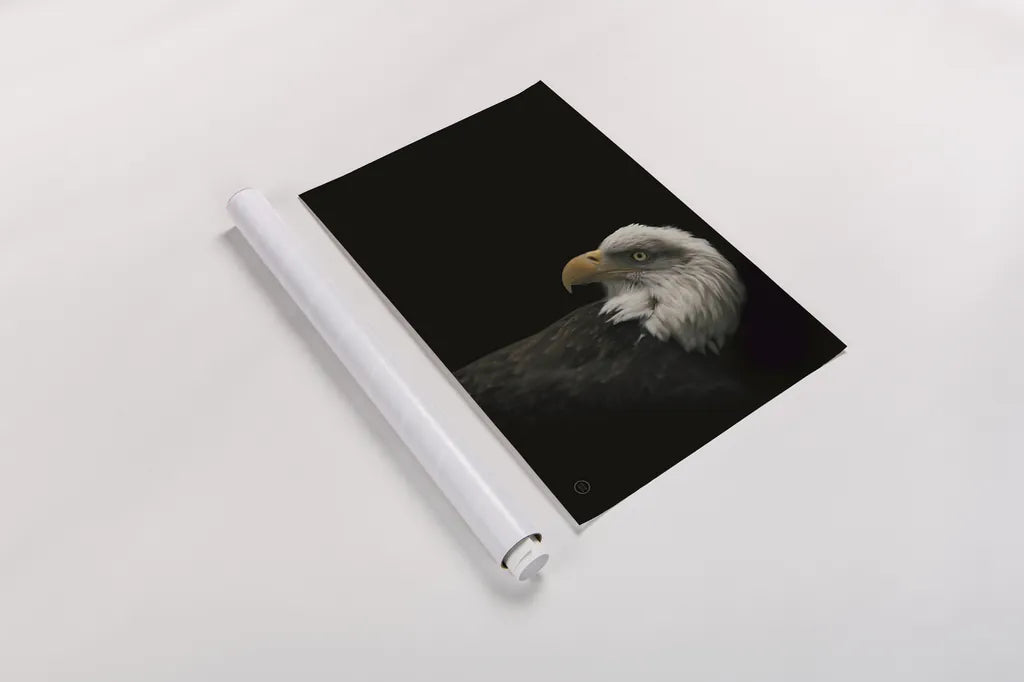 Eagle Bow by Nathan Larson. shown as a rolled paper print. Available as archival giclee rolled canvas, fine art paper, or poster print. SKU 70277i.