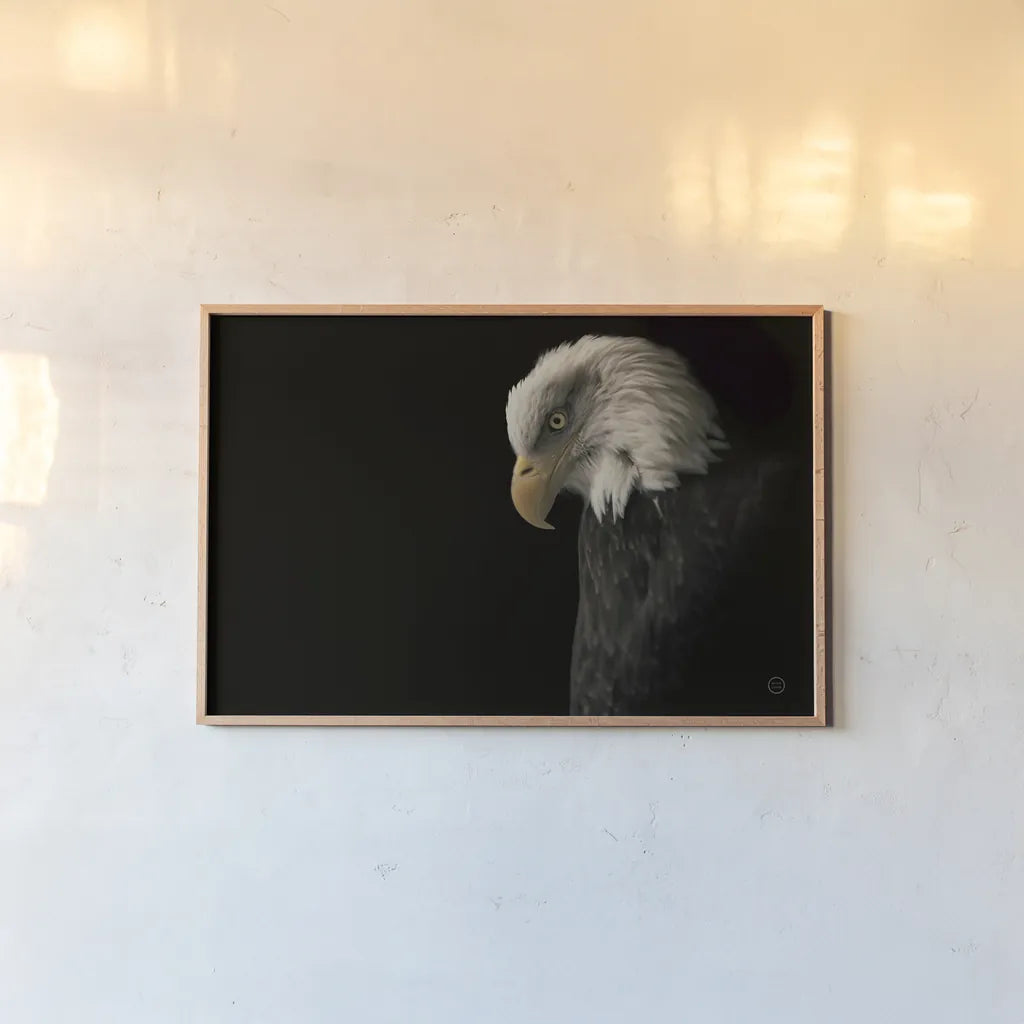 Eagle Bow by Nathan Larson. shown as a paper print in a natural frame. Available as a archival giclee rolled canvas, fine art paper, or poster print. SKU 70277i.