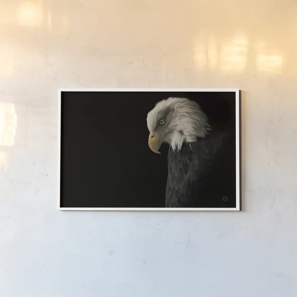Eagle Bow by Nathan Larson. shown as a paper print in a white frame. Available as a archival giclee rolled canvas, fine art paper, or poster print. SKU 70277i.