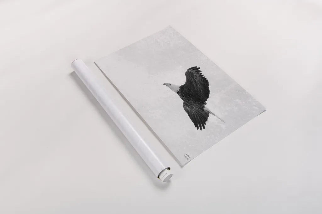 Eagle Eye by Nathan Larson. shown as a rolled paper print. Available as archival giclee rolled canvas, fine art paper, or poster print. SKU 99246i.