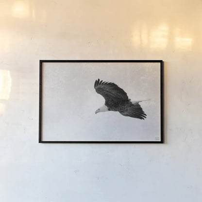 Eagle Eye by Nathan Larson. shown as a paper print in a black flame. Available as a archival giclee rolled canvas, fine art paper, or poster print. SKU 99246i.