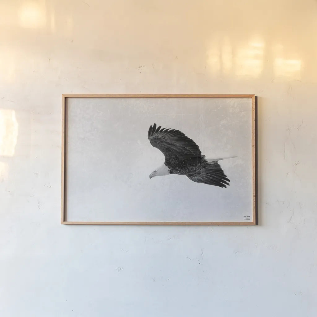 Eagle Eye by Nathan Larson. shown as a paper print in a natural frame. Available as a archival giclee rolled canvas, fine art paper, or poster print. SKU 99246i.