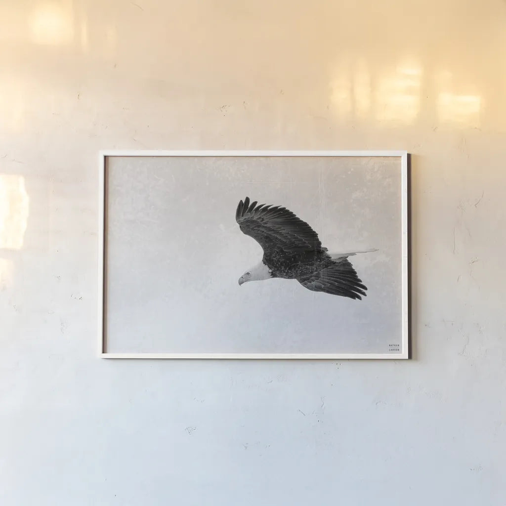 Eagle Eye by Nathan Larson. shown as a paper print in a white frame. Available as a archival giclee rolled canvas, fine art paper, or poster print. SKU 99246i.