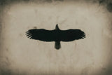 Eagle Pass by Nathan Larson. SKU 78765i. Archival Giclee Fine art print for wall decor.