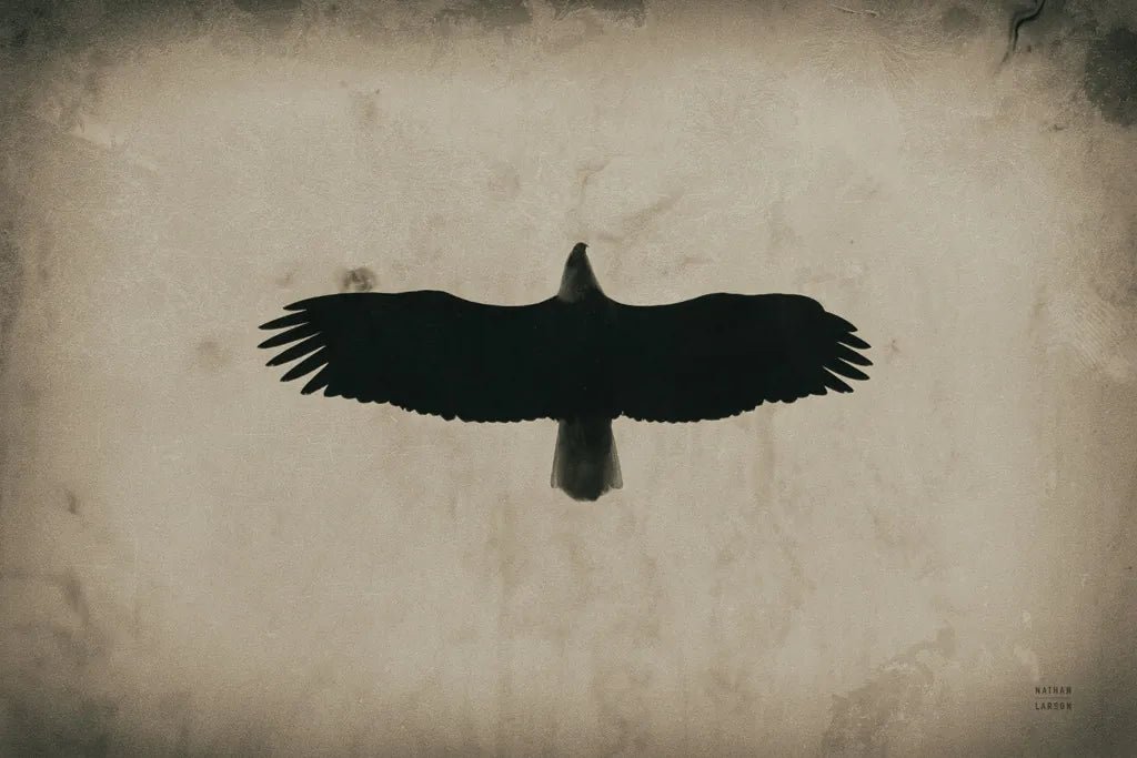 Eagle Pass by Nathan Larson. SKU 78765i. Archival Giclee Fine art print for wall decor.