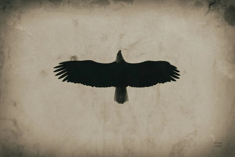 Eagle Pass by Nathan Larson. SKU 78765i. Archival Giclee Fine art print for wall decor.