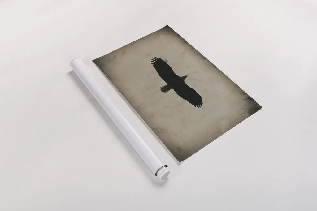 Eagle Pass by Nathan Larson. shown as a rolled paper print. Available as archival giclee rolled canvas, fine art paper, or poster print. SKU 78765i.