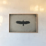 Eagle Pass by Nathan Larson. shown as a paper print in a natural frame. Available as a archival giclee rolled canvas, fine art paper, or poster print. SKU 78765i.