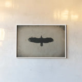 Eagle Pass by Nathan Larson. shown as a paper print in a white frame. Available as a archival giclee rolled canvas, fine art paper, or poster print. SKU 78765i.