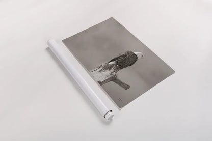 Eagle Perch by Nathan Larson. shown as a rolled paper print. Available as archival giclee rolled canvas, fine art paper, or poster print. SKU 79106i.