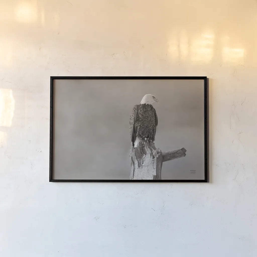 Eagle Perch by Nathan Larson. shown as a paper print in a black flame. Available as a archival giclee rolled canvas, fine art paper, or poster print. SKU 79106i.