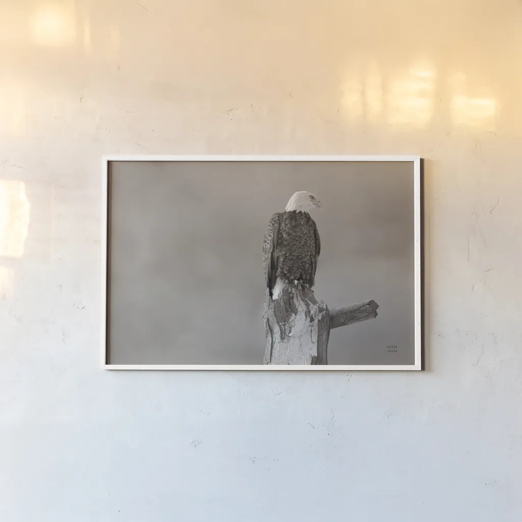 Eagle Perch by Nathan Larson. shown as a paper print in a white frame. Available as a archival giclee rolled canvas, fine art paper, or poster print. SKU 79106i.