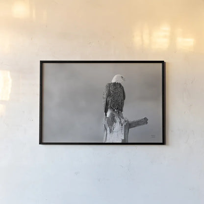 Eagle Perch BW by Nathan Larson. shown as a paper print in a black flame. Available as a archival giclee rolled canvas, fine art paper, or poster print. SKU 80636i.