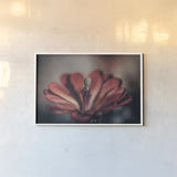 Elevation Bloom by Nathan Larson. shown as a paper print in a white frame. Available as a archival giclee rolled canvas, fine art paper, or poster print. SKU 88547i.