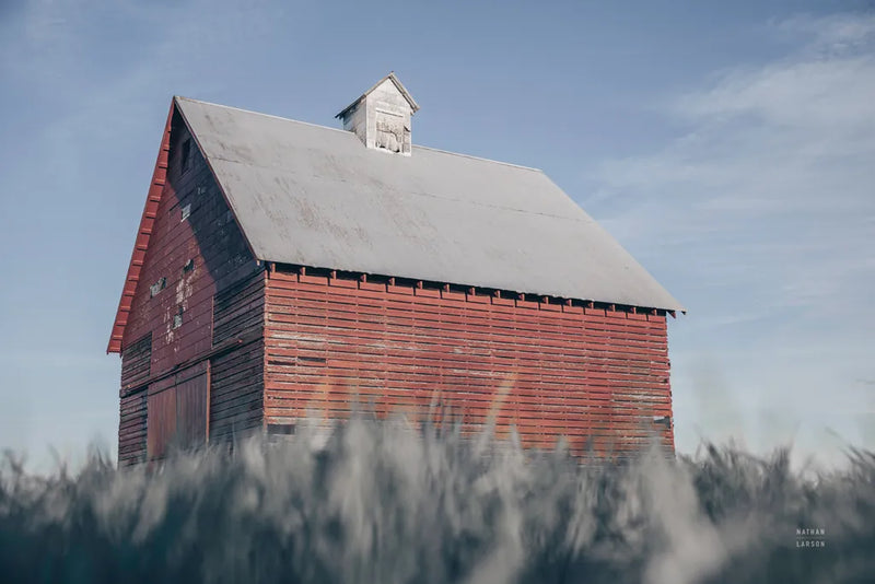 End of the Field by Nathan Larson. SKU 98344i. Archival Giclee Fine art print for wall decor.