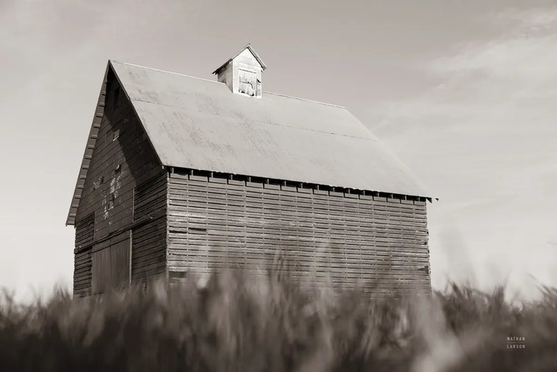 End of the Field BW by Nathan Larson. SKU 98345i. Archival Giclee Fine art print for wall decor.