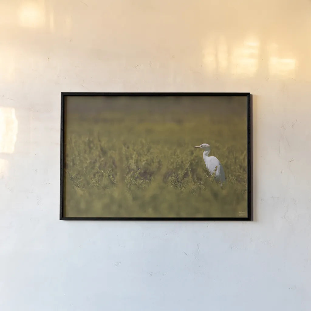 Everglades National Park by Nathan Larson. shown as a paper print in a black flame. Available as a archival giclee rolled canvas, fine art paper, or poster print. SKU 97616i.
