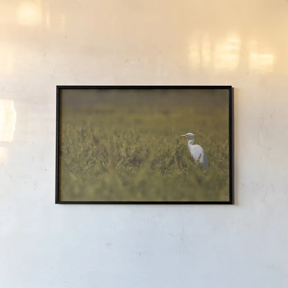 Everglades National Park by Nathan Larson. shown as a paper print in a black flame. Available as a archival giclee rolled canvas, fine art paper, or poster print. SKU 97616i.