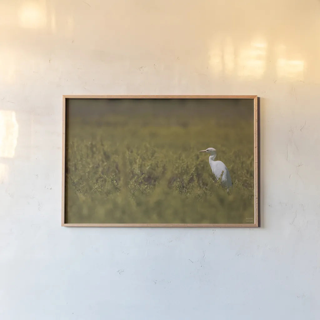 Everglades National Park by Nathan Larson. shown as a paper print in a natural frame. Available as a archival giclee rolled canvas, fine art paper, or poster print. SKU 97616i.