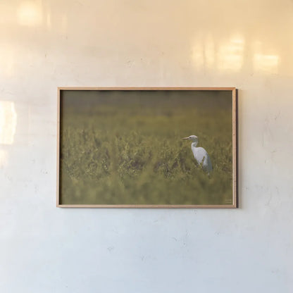 Everglades National Park by Nathan Larson. shown as a paper print in a natural frame. Available as a archival giclee rolled canvas, fine art paper, or poster print. SKU 97616i.