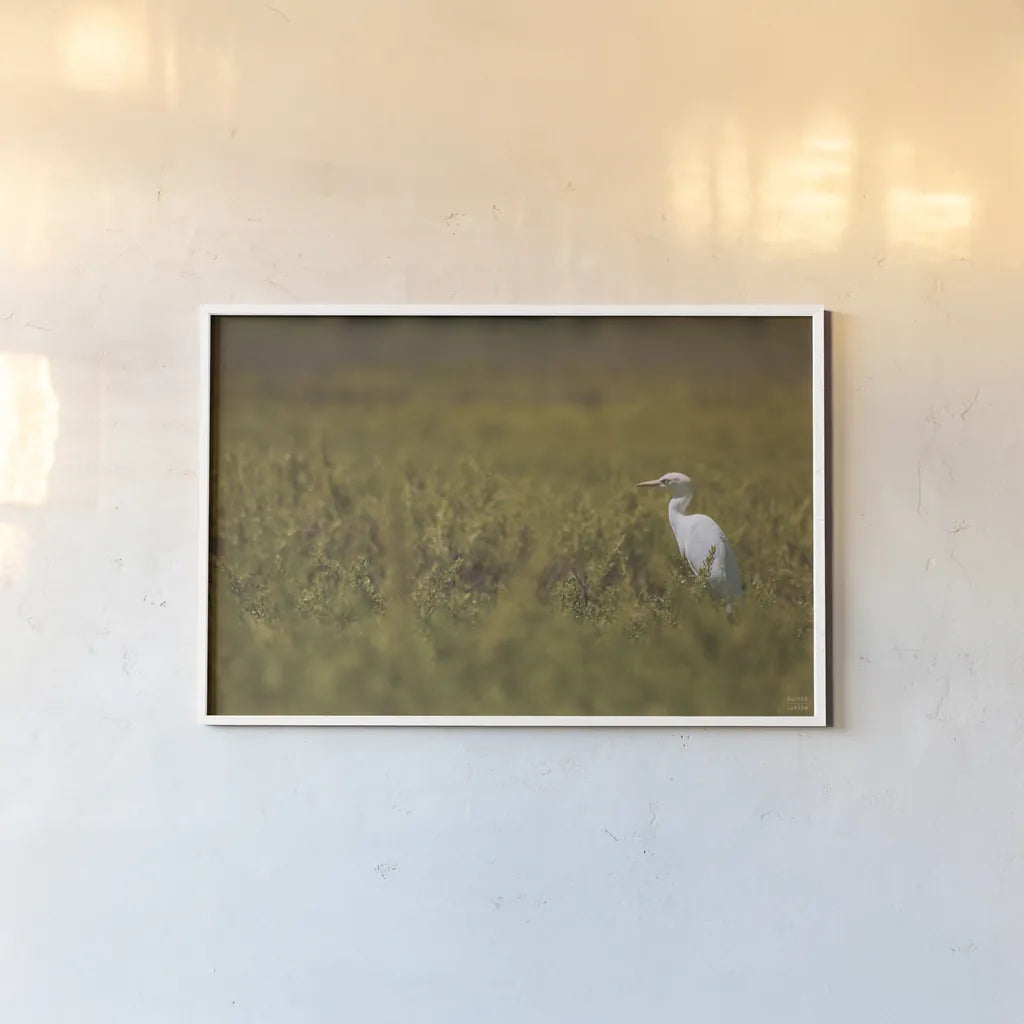 Everglades National Park by Nathan Larson. shown as a paper print in a white frame. Available as a archival giclee rolled canvas, fine art paper, or poster print. SKU 97616i.