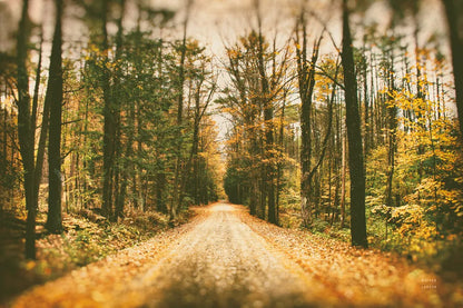 Faded Road by Nathan Larson. SKU 93987i. Archival Giclee Fine art print for wall decor.