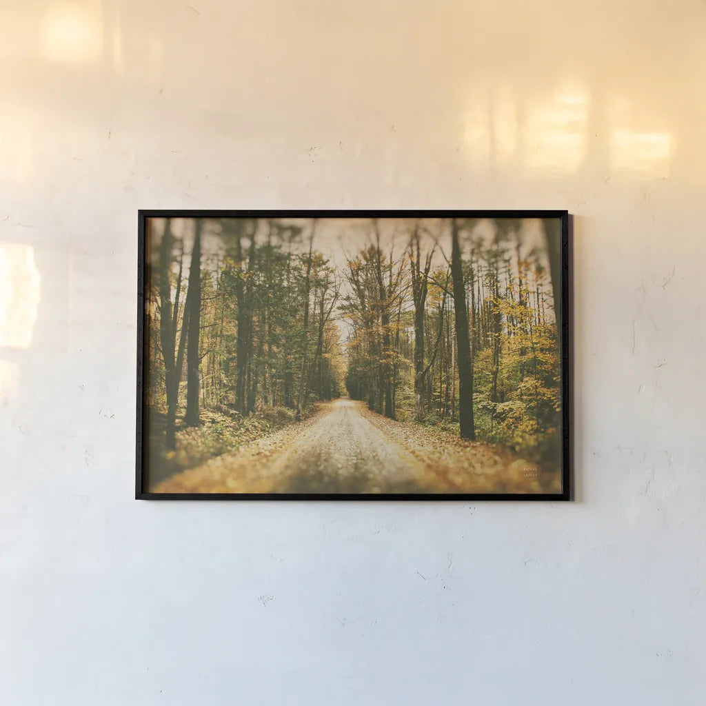 Faded Road by Nathan Larson. shown as a paper print in a black flame. Available as a archival giclee rolled canvas, fine art paper, or poster print. SKU 93987i.